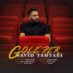 دانلود آهنگ نوید یحیایی گل پئر